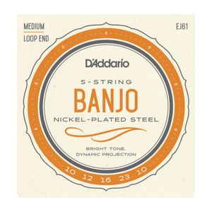 Encordoamento Para Banjo 0,100 EJ-61 - D`Addario
