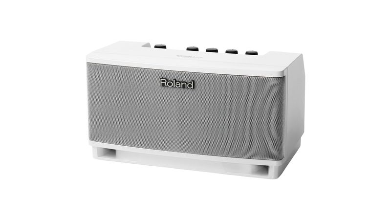 ローランド Roland / CUBE Lite MONITOR 2.1chモニターアンプ