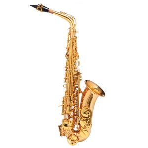 Sax Alto Dual Gold Dourado WASM48 Eb - Michael