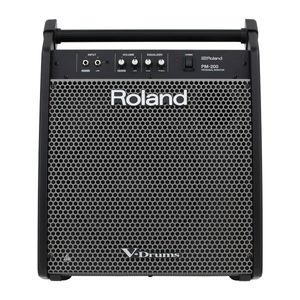 Monitor Pessoal PM-200 - Roland