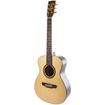 violao-rx-120atnlp-rozini