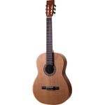 violao-rx-230-at-f-cd-rozini