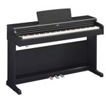 YDP-164