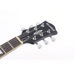 Guitarra-Modelo-Les-Paul-LPS-230-BKS---Strinberg-3