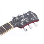 Guitarra-Modelo-Les-Paul-LPS-230-CSS---Strinberg-2