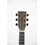 Violao-Eletroacustico-Forest-FS-2B-TOS---Strinberg-4