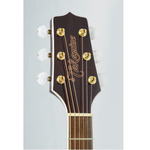 Violao-Eletroacustico-Cutaway-GN-75CE-WR---Takamine-2