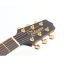 Violao-Eletroacustico-Folk-P-5DC-N-CTP3-C---Takamine-2