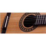 Viola-Acustica-Cinturada-RV-102-AC.N.J---Rozini-1