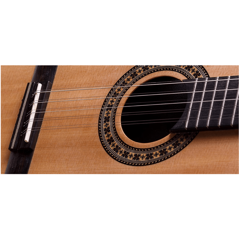Viola-Acustica-Cinturada-RV-102-AC.N.J---Rozini-1
