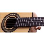 Viola-Eletrica-Classica-Fosco-RV-155-AT.F.I---Rozini-1