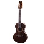 Viola-Eletrica-Cinturada-Fosco-RV-216-AT.F.LP---Rozini