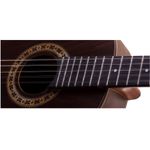 Viola-Eletrica-Cinturada-Fosco-RV-216-AT.F.LP---Rozini-1