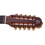 Viola-Eletrica-Cinturada-Fosco-RV-216-AT.F.LP---Rozini-2