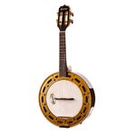 Banjo-Profissional-Eletrico-RJ-12-EL.N.J---Rozini