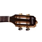 Banjo-Profissional-Eletrico-RJ-12-EL.N.J---Rozini-2