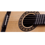 Viola-Classica-Eletrica-Profissional-RV-112-AT.N---Rozini-1