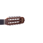 Viola-Classica-Eletrica-Brilho-Ativa-RV-212-AT.N.LP---Rozini-2