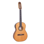 Viola-Classica-Eletrica-Presenca-Brasil-Esplendor-RV-115.AT.N.LP---Rozini