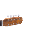 Viola-Acustica-Caipira-Classica-RV-155.AC.F.I---Rozini-2