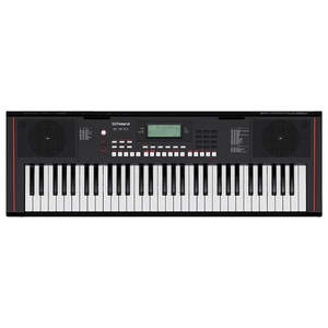Teclado Musical Arranjador E-X-10 - Roland