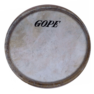Pele Tumbadora 12" 1/2 Empachado Montado Animal 1913 - Gope