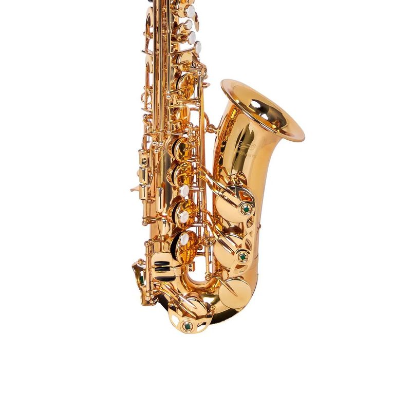 Saxofone-Alto-Dourado-Com-Semicase-16460---Dominante-3