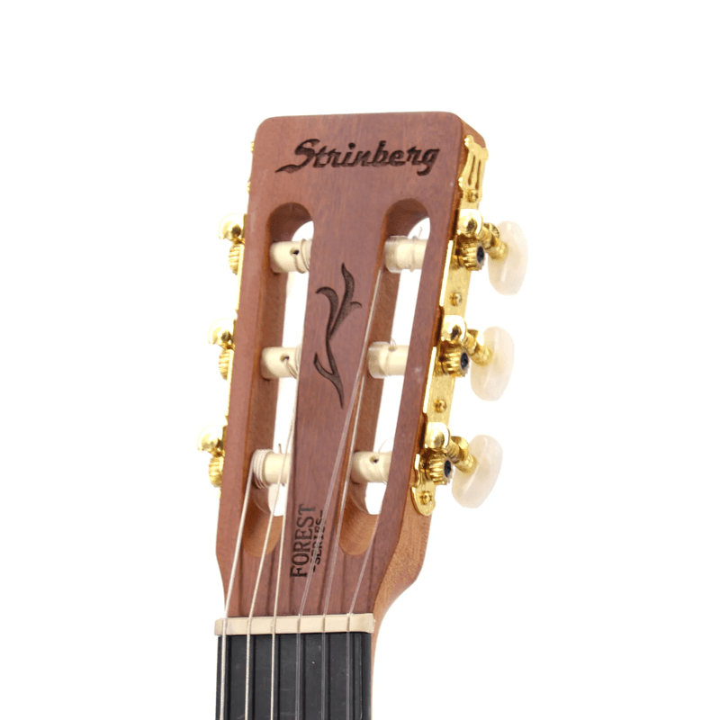 Violao-Eletroacustico-Nylon-Classico-Forest-FS-3C---Strinberg-3