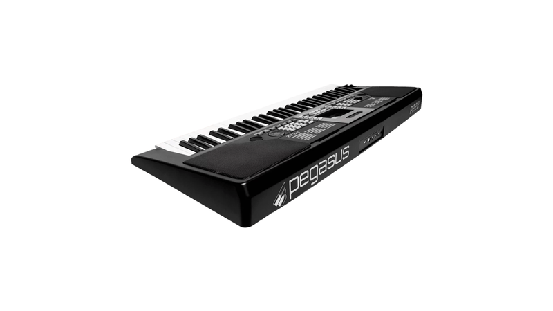 Teclado Sintetizador Elétrico 61 Teclas Preto P-222 - Pegasus