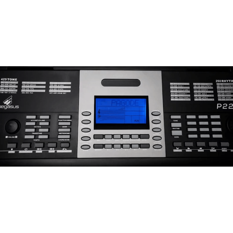 Teclado-Sintetizador-Eletrico-61-Teclas-Preto-P-222---Pegasus-3