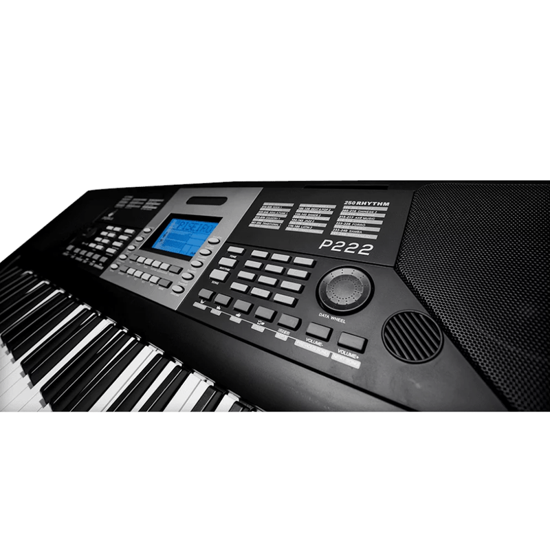 Teclado-Sintetizador-Eletrico-61-Teclas-Preto-P-222---Pegasus-4