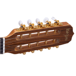 Viola-Presenca-Brasil-Esplendor-Classica-RV115-FP2NLP---Rozini-2