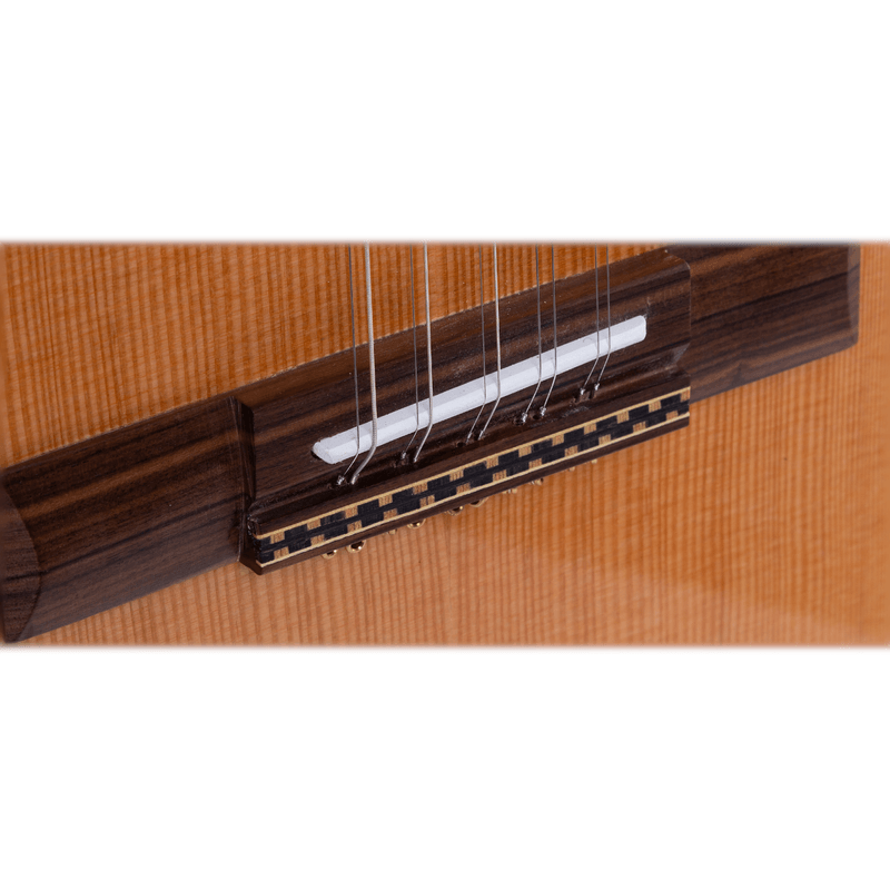 Viola-Presenca-Brasil-Esplendor-Classica-RV115-FP2NLP---Rozini-4