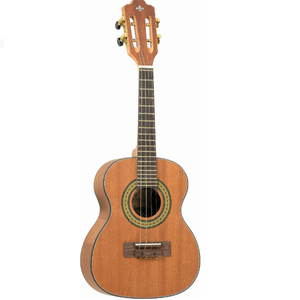 Cavaquinho Acústico CS-25 MGS - Strinberg