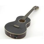 Viola-Caipira-eletroacustica-VS-25E-BK---Strinberg-2