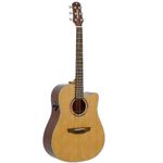 Violao-Eletroacustico-Folk-DD-1C-NS---Strinberg