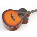 Violao-Artistico-Com-Cutaway-SA-200C-HBS---Strinberg-2