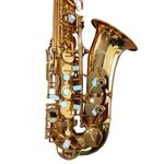 Saxofone-Alto-Laqueado-Afinacao-Mib--Eb--ZAS-600L---Zellmer-1
