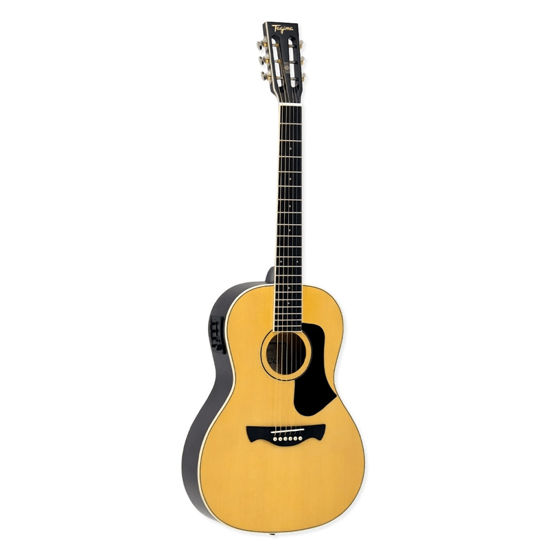 Violao-Aco-Parlor-Non-Cutaway-Agathis-NAZCA-NTABS---Tagima