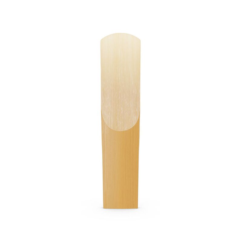 image-a171bf7e4a0a4cb7842fdfe2ce02b3bf