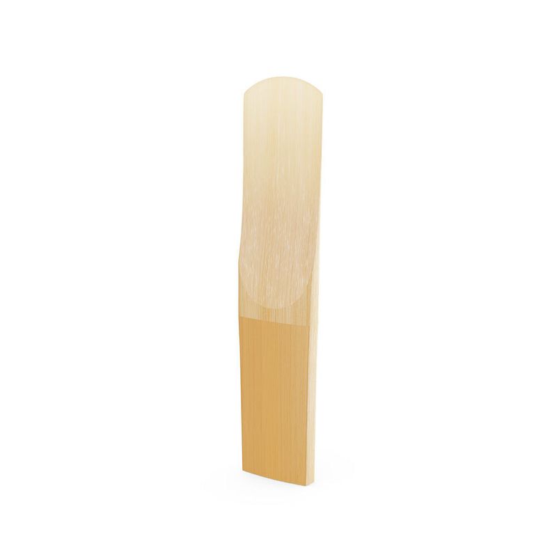 image-914e4cfc4f9a49838bd15aa15b5cd5a2