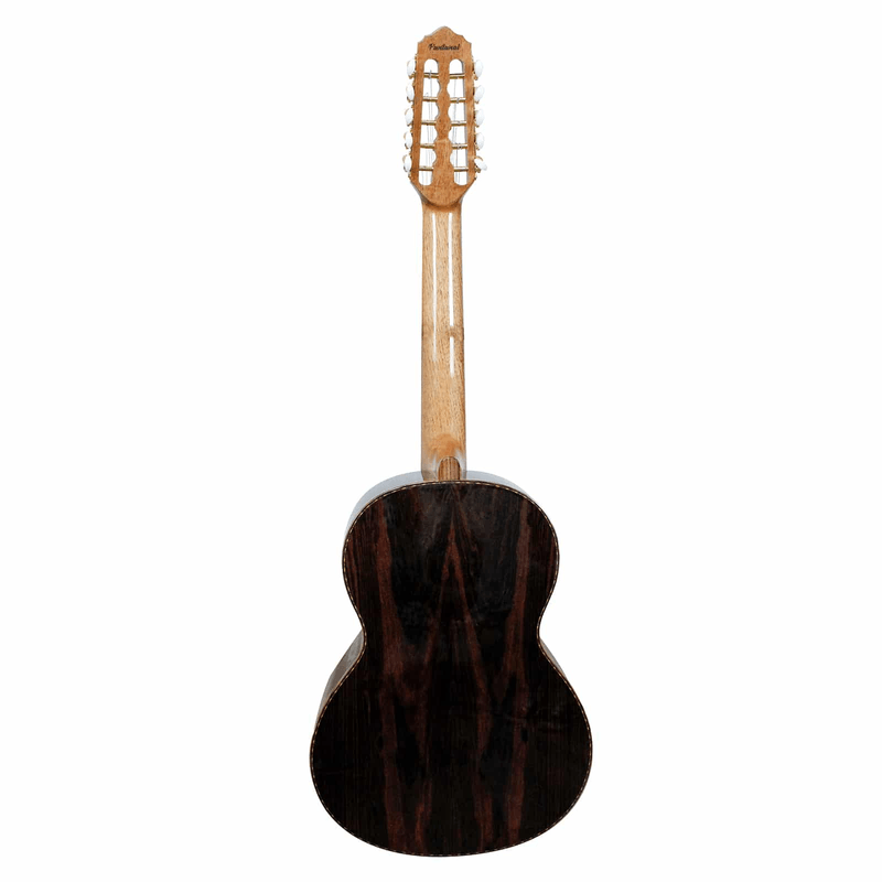Viola Eletroacustica Pantanal VS8H LRPT NG - Giannini-3.png