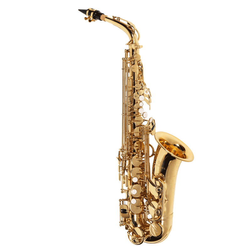 Sax Alto WASM30N - Michael.png