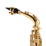 Sax Alto WASM30N - Michael-1.png