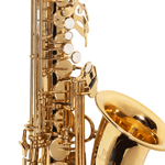 Sax Alto WASM30N - Michael-2.png