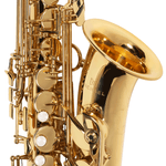 Sax Alto WASM30N - Michael-3.png