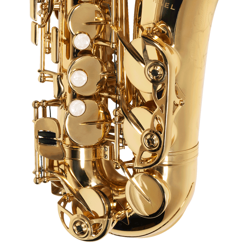 Sax Alto WASM30N - Michael-4.png