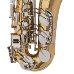 Sax-Alto-WASM32---Michael-3.png