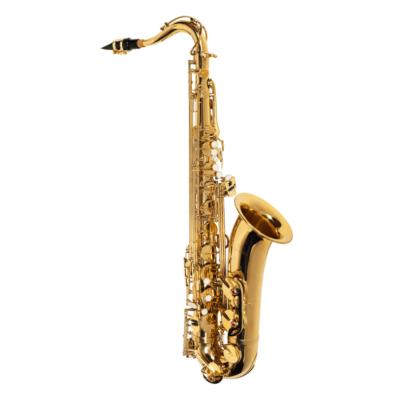 Sax Tenor WTSM30N - Michael.png