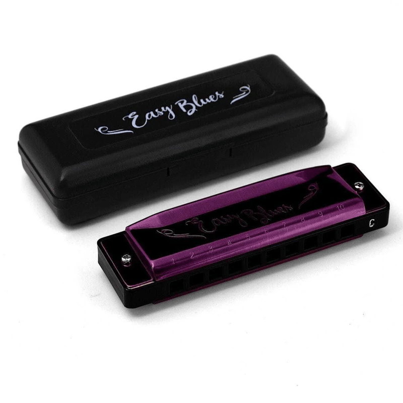 Gaita de Boca Easy Blues Purpura Do PU4420 - Hering-1.png